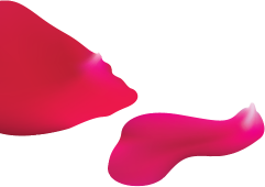 ornament2