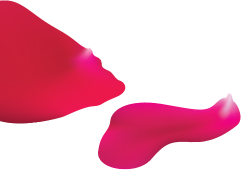 Petals